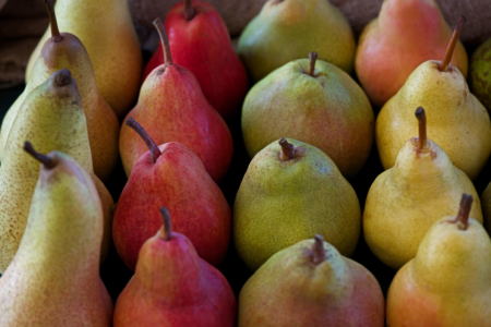 Parte il progetto “Pears with love”